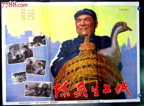 霍夫斯特拉大学 Diploma